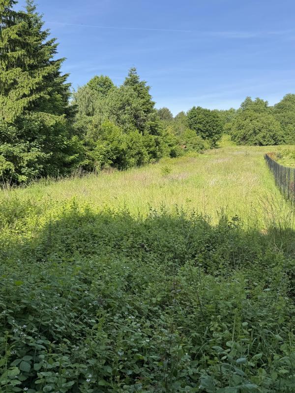 Terrain constructible - 1 117 m²