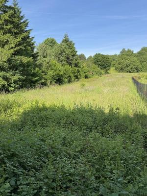 Terrain constructible - 1 117 m²