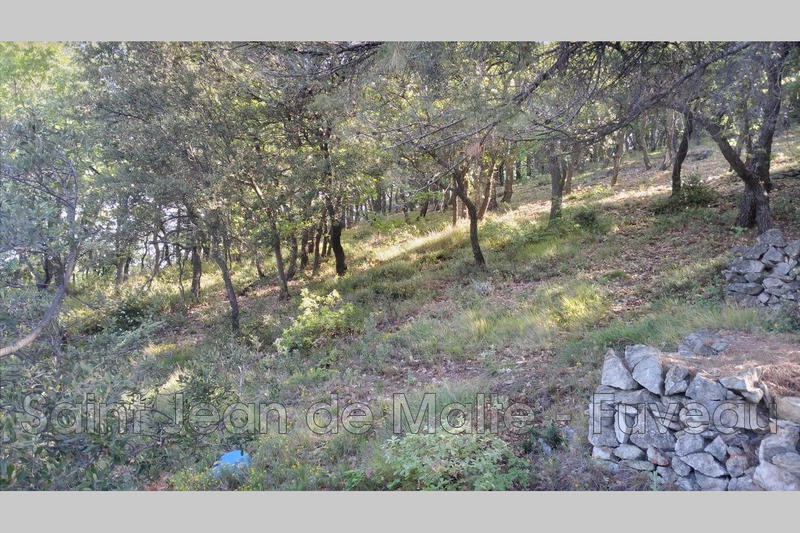 Maison - 190 m² - 8 pièces