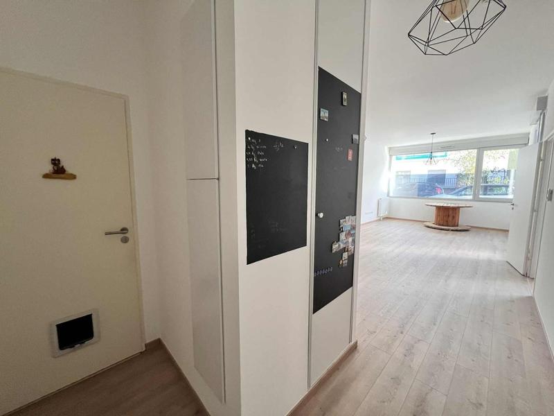 Appartement - 53 m² - 2 pièces