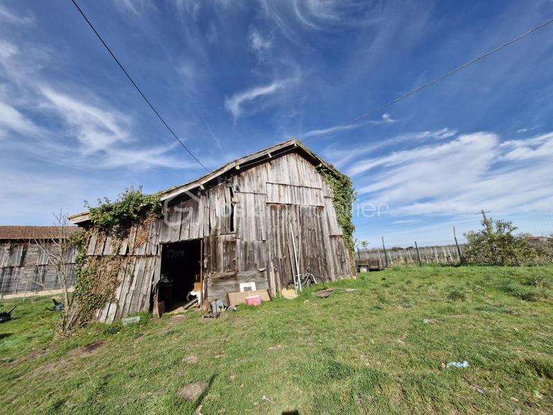 Maison en pierre - 123 m² - 5 pièces