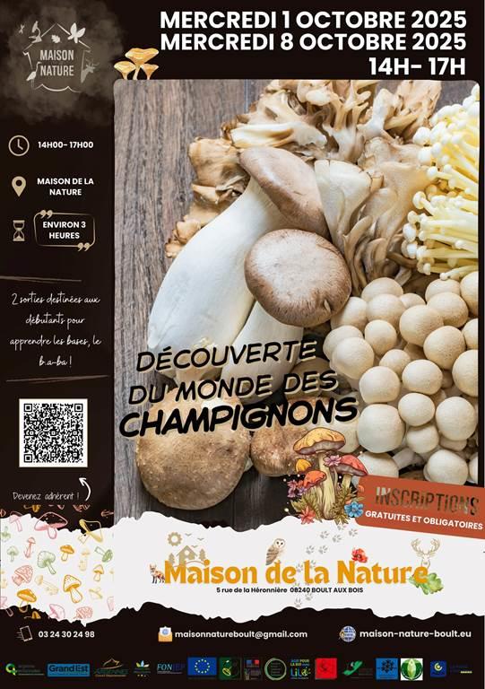 Découverte du monde des champignons