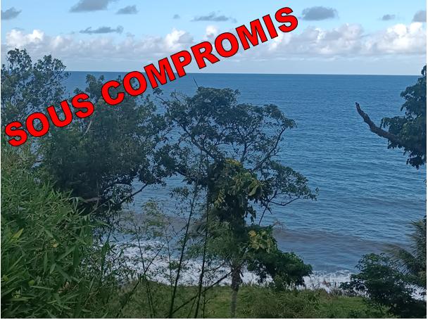 Maison - 65 m² - 3 pièces