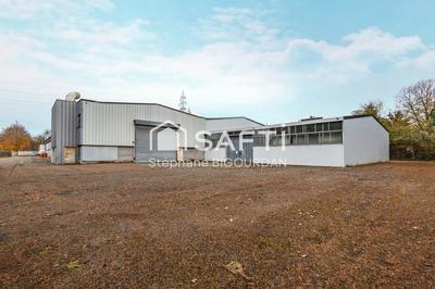 Local commercial - 3 178 m² - 10 pièces