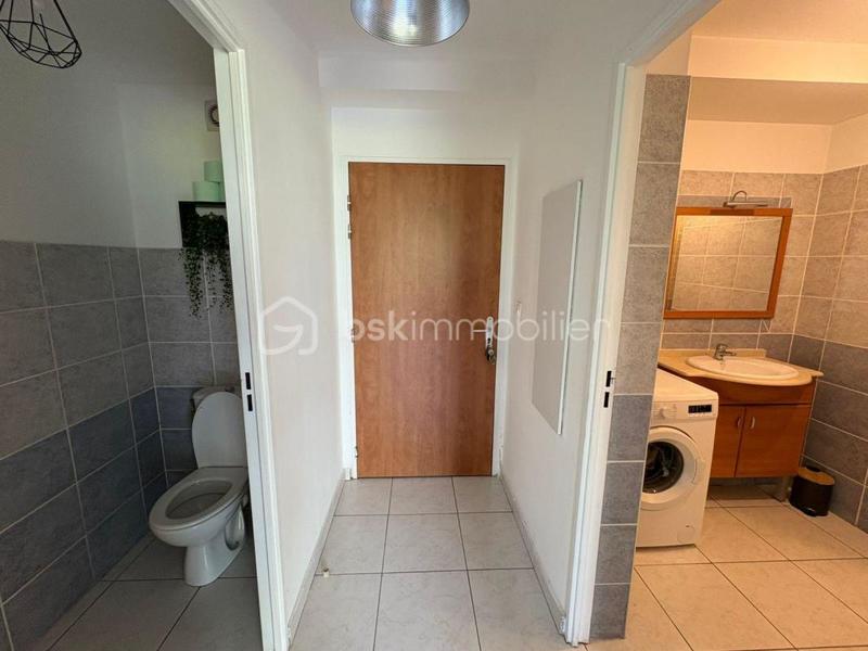 Studio - 30 m² - 1 pièce