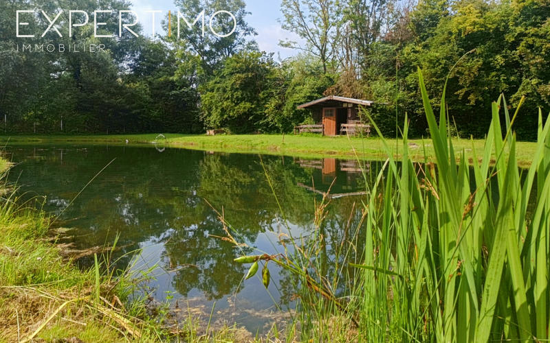 Local commercial - 12 600 m²