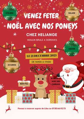 Noël avec les poneys
