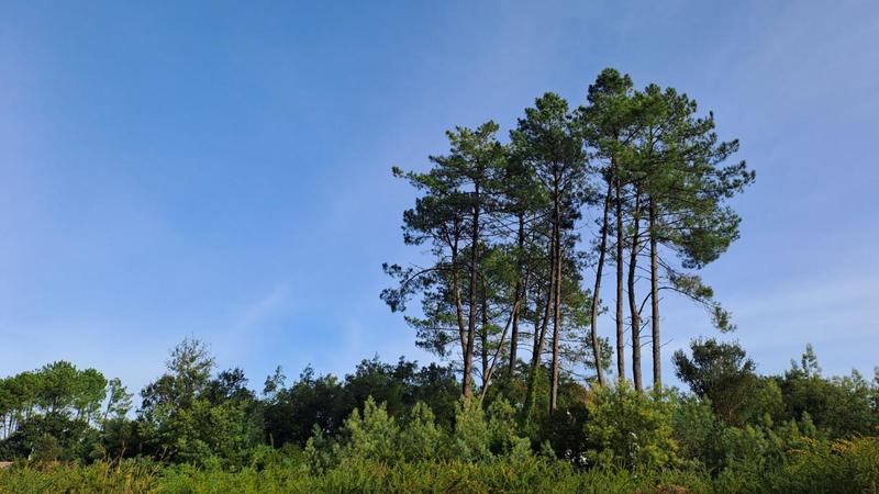 Terrain constructible - 1 111 m²