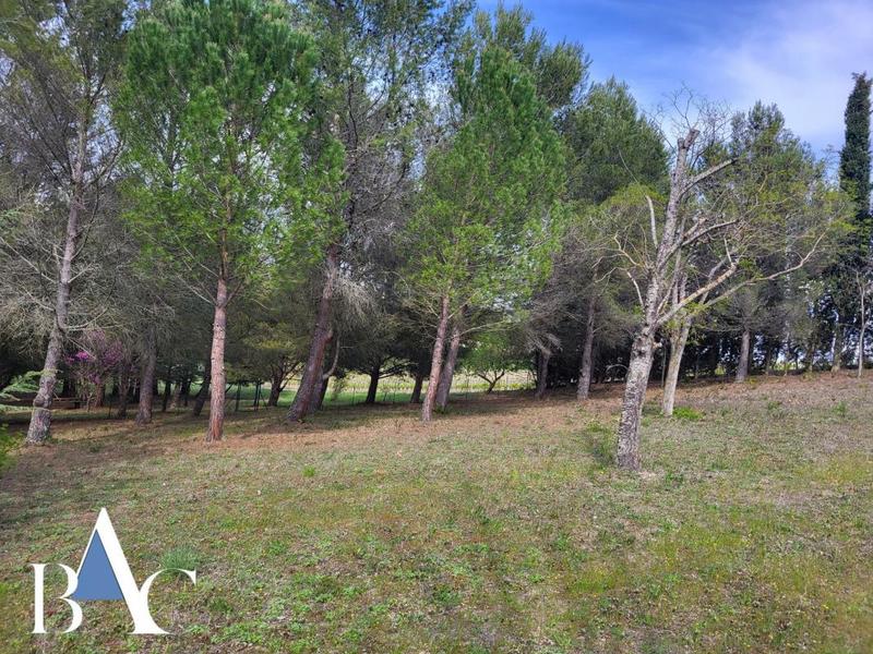 Terrain constructible - 1 590 m²