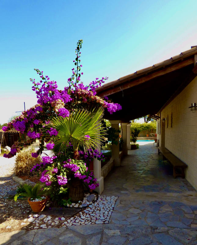 Maison - 177 m² - 5 pièces