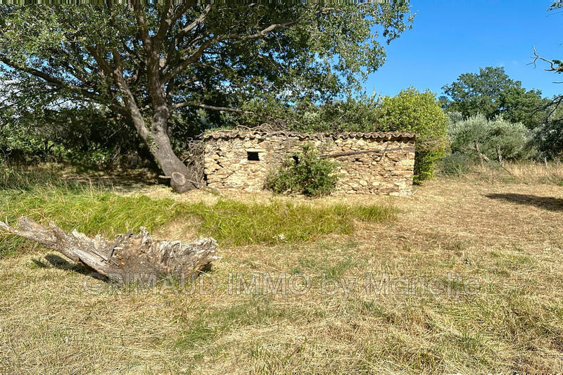 Maison - 205 m² - 10 pièces