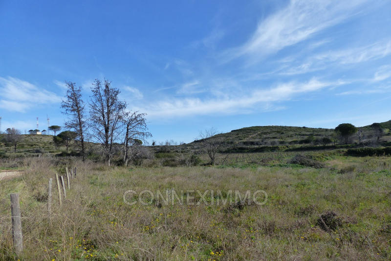 Terrain agricole - 12 250 m²