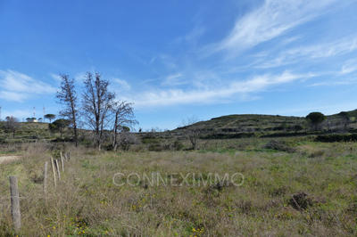 Terrain agricole - 12 250 m²