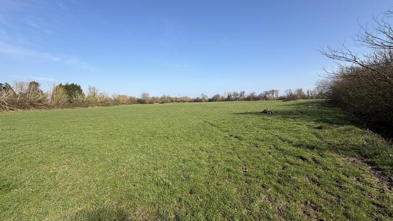 Terrain agricole - 116 262 m²