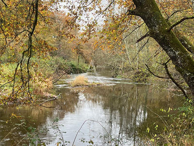 Terrain - 243 800 m²