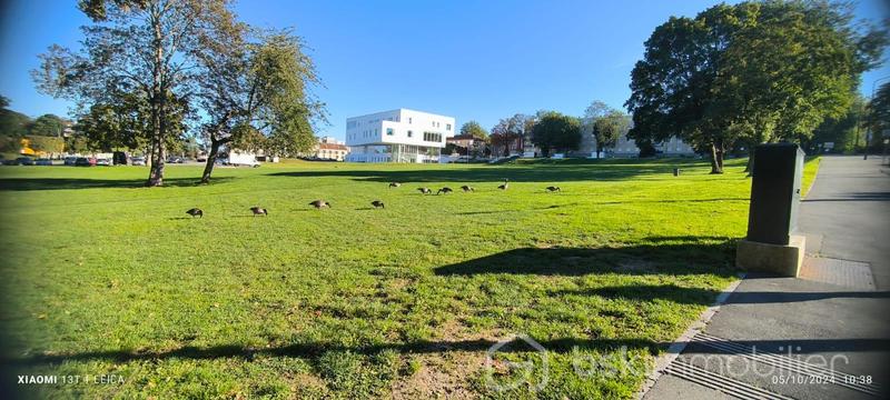 Appartement - 54 m² - 3 pièces