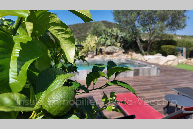 Villa - 175 m² - 6 pièces