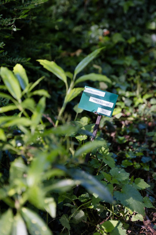 Ouverture des Jardins de la Régie