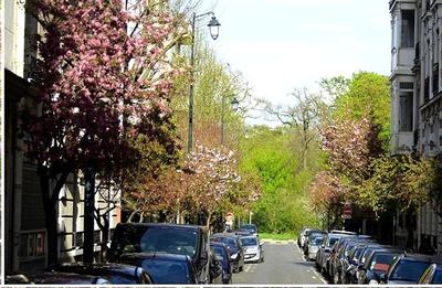 Appartement ancien - 54 m² - 3 pièces