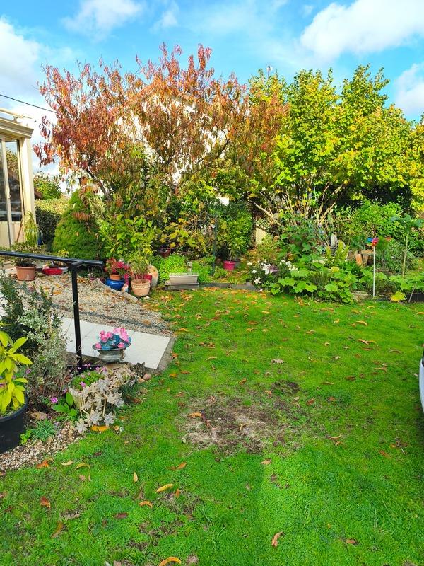 Maison - 75 m² - 3 pièces