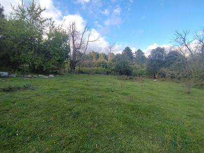 Terrain constructible - 3 000 m²