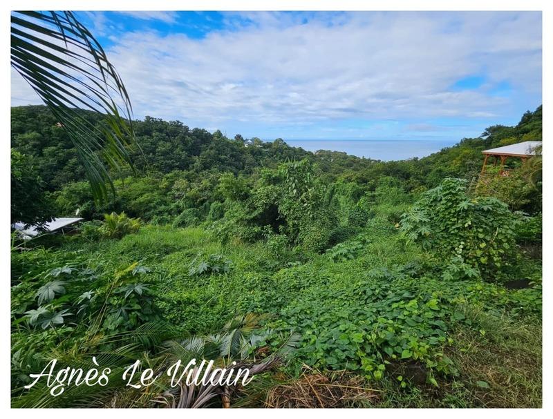 Terrain constructible - 7 664 m²