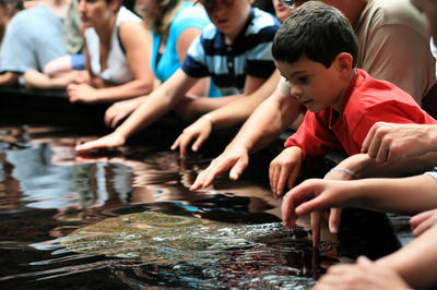 Nausicaa le Centre National de la Mer