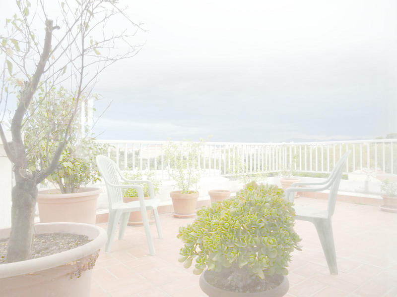 Appartement - 260 m² - 7 pièces