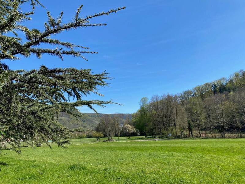 Maison d'architecte - 292 m² - 9 pièces