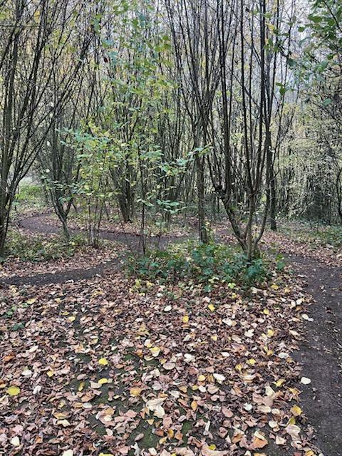 Maison - 266 m² - 6 pièces