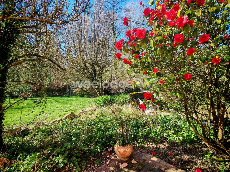 Maison - 262 m² - 10 pièces