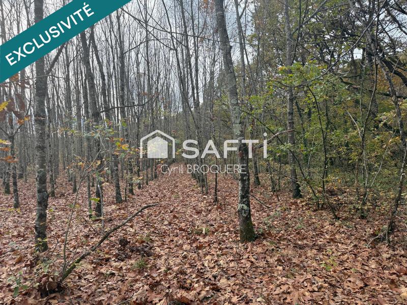 Terrain agricole - 14 165 m²