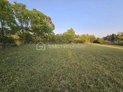 Terrain - 2 197 m²