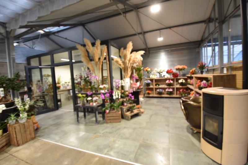 Fonds de commerce - Magasins - 220 m²