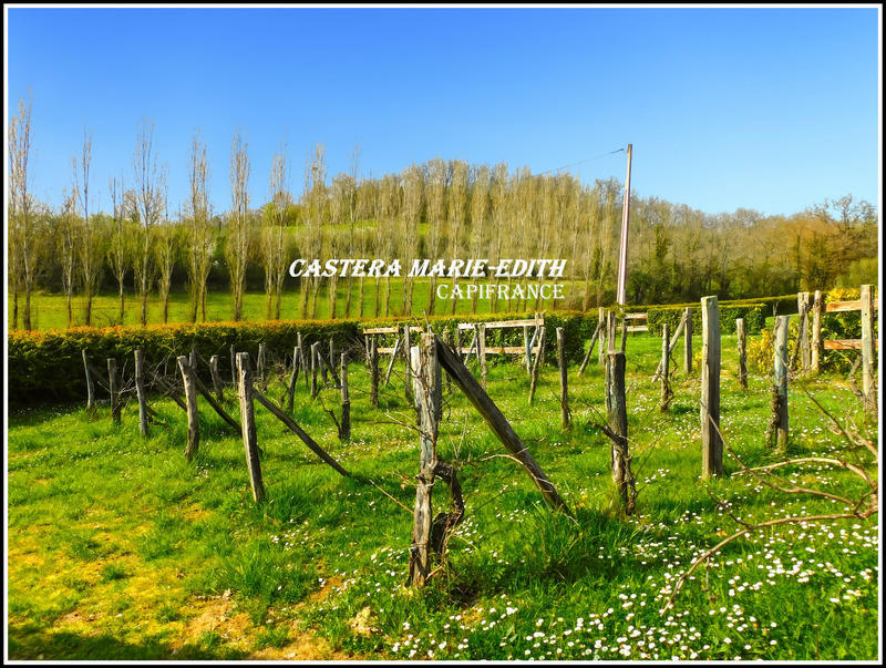 Maison - 955 m² - 33 pièces