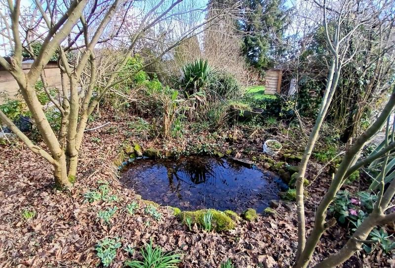 Maison en pierre - 116 m² - 5 pièces