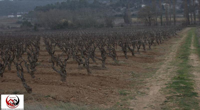 Terrain - 41 420 m²