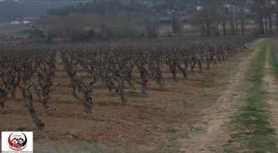 Terrain - 41 420 m²