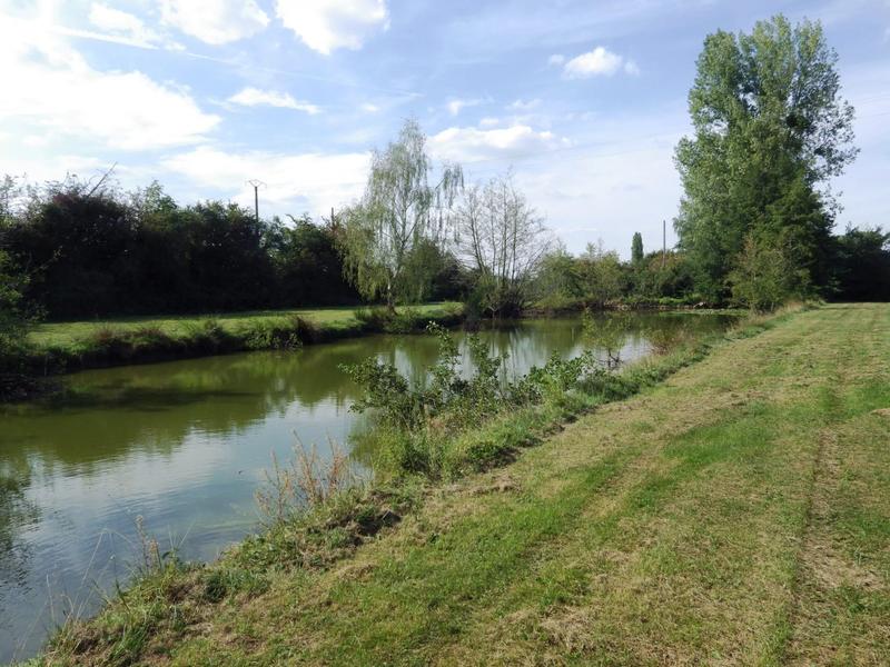 Terrain - 12 496 m²