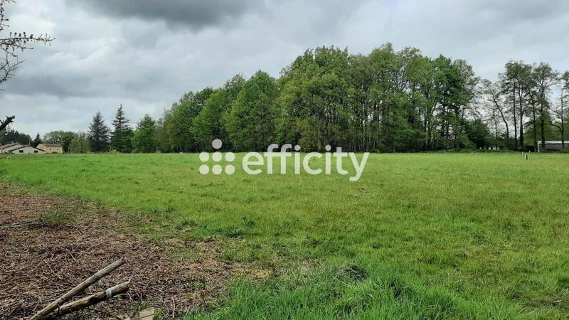 Terrain - 4 578 m²