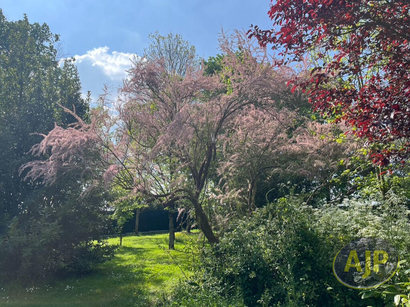 Maison - 186 m² - 6 pièces