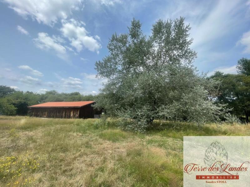 Maison - 181 m² - 4 pièces