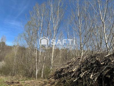 Terrain agricole - 31 186 m²