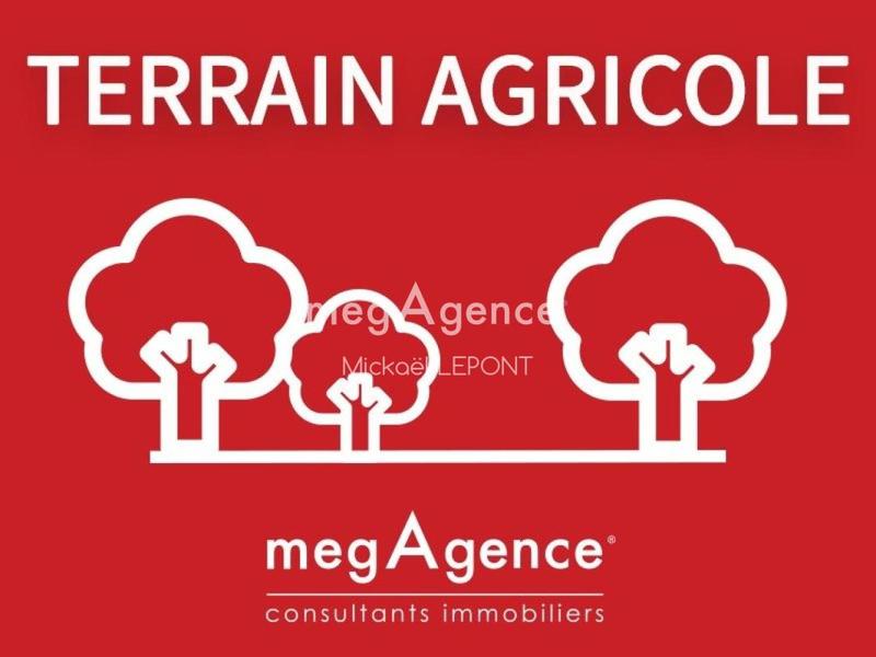 Terrain agricole