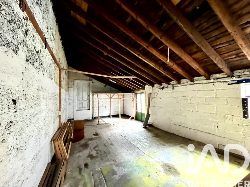 Loft - 48 m² - 2 pièces