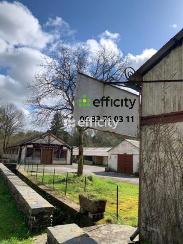 Local d'activité / Entrepôt - 4 269 m² - 1 pièce