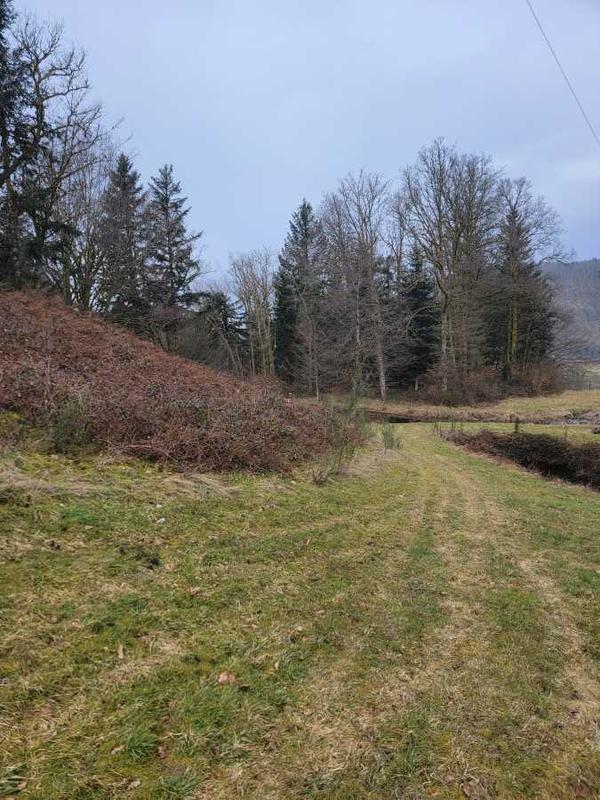 Ferme - 126 m² - 5 pièces