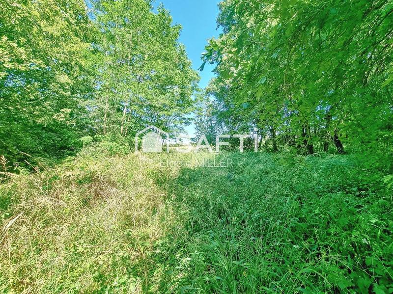 Terrain agricole - 9 918 m²