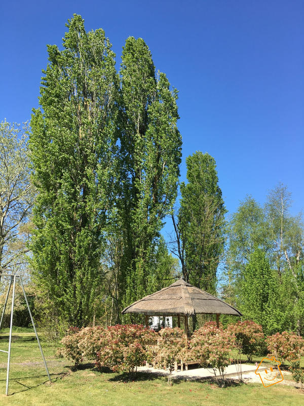 Ferme - 183 m² - 7 pièces