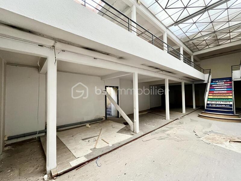 Immeuble - 500 m² - 10 pièces